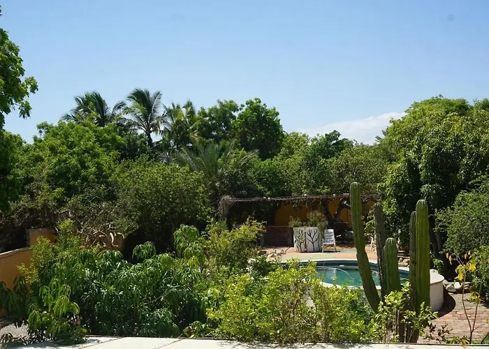 Large With Private Patio In Casa Cornucopia *