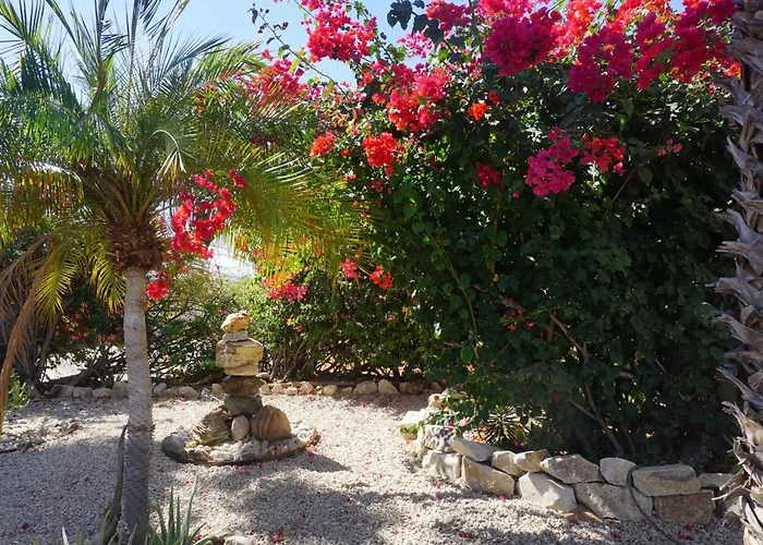 Apartment Large With Private Patio In Casa Cornucopia *